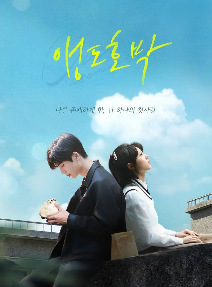 앵도호박 로맨틱 하이라이트